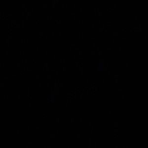 Meet your Posher, Nyree